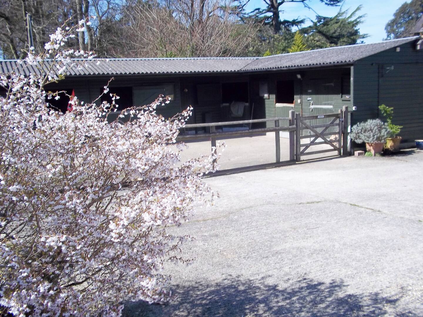 The backyard stable